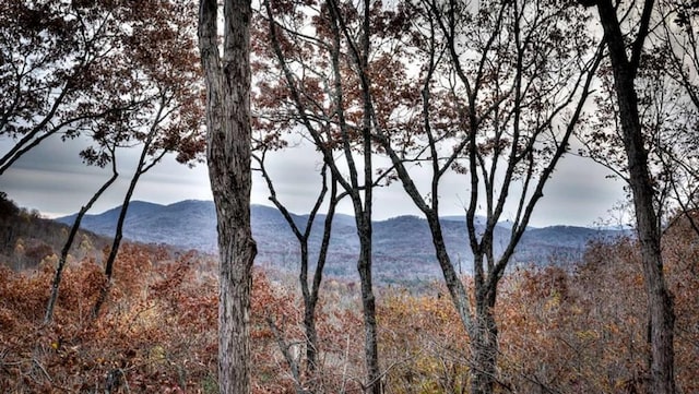 property view of mountains with a view of trees