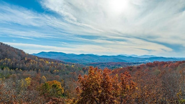 property view of mountains featuring a view of trees