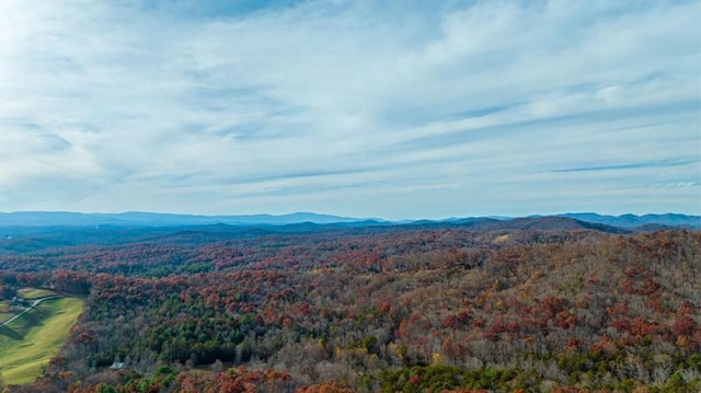 mountain view featuring a view of trees