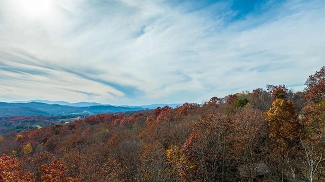 mountain view featuring a wooded view