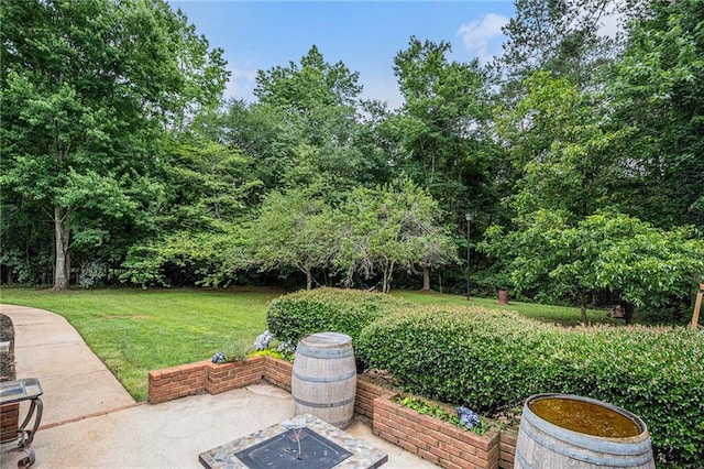 3003 Hanover Ln SE, Conyers, GA 30094 - view of green lawn with a patio