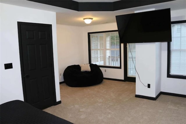 sitting room featuring light colored carpet