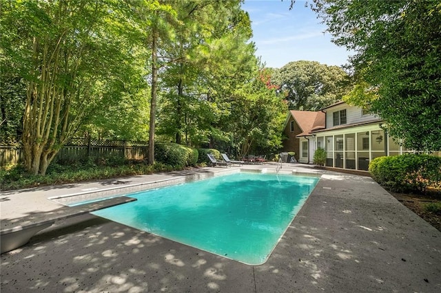 view of swimming pool featuring a patio area and a diving board