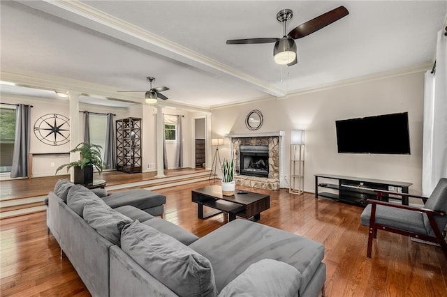 living room featuring ceiling fan, a fireplace, crown molding, and wood-type flooring