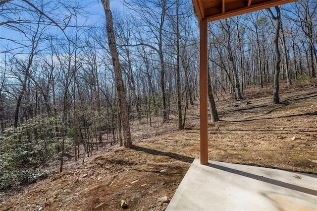 view of yard with a patio