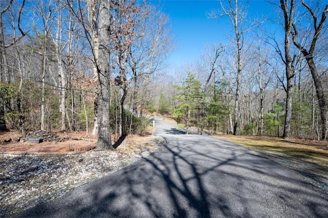 view of road featuring a view of trees