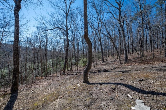 view of nature featuring a forest view