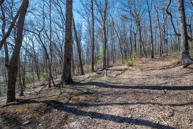 view of road featuring a forest view