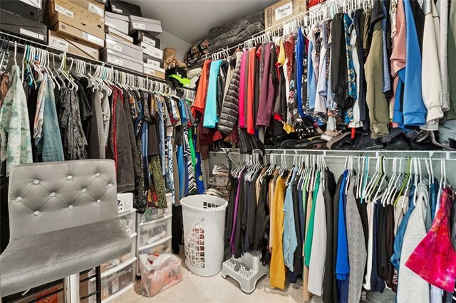 spacious closet with carpet floors