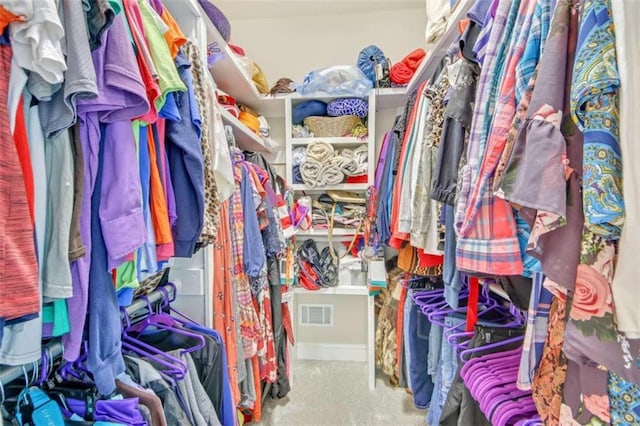 view of walk in closet