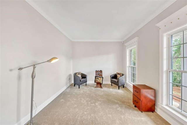 sitting room with plenty of natural light, ornamental molding, light carpet, and baseboards