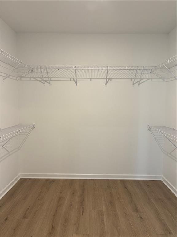 spacious closet featuring dark wood-style flooring