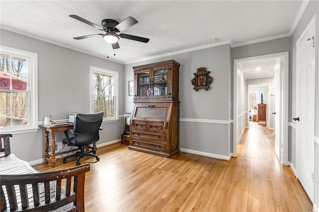 office space with crown molding, a wealth of natural light, and light wood-type flooring