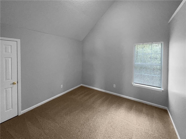 additional living space with a textured ceiling, vaulted ceiling, and carpet