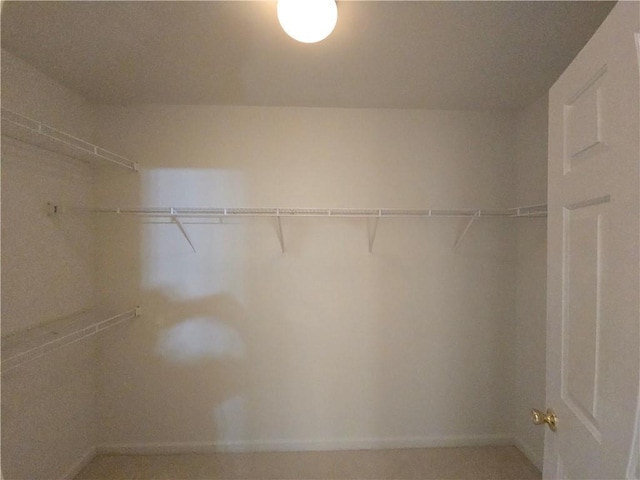 view of walk in closet