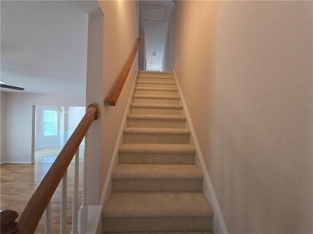 stairs with ceiling fan and wood-type flooring