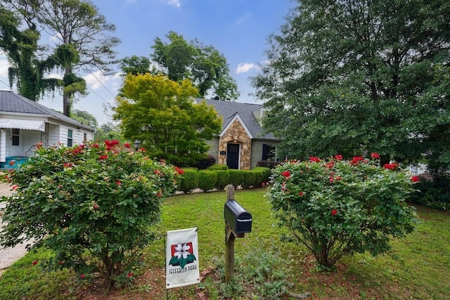 2668 Jefferson Ter, East Point, GA 30344 - view of green lawn