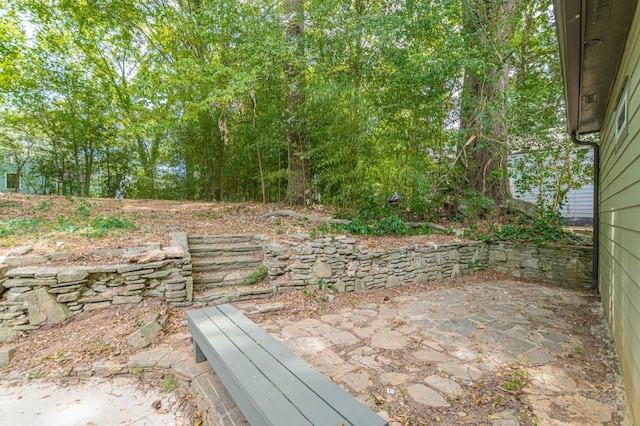 view of yard featuring a patio area