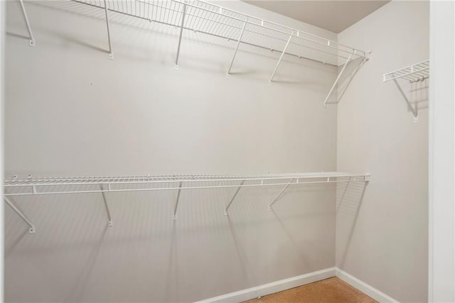 walk in closet featuring carpet flooring