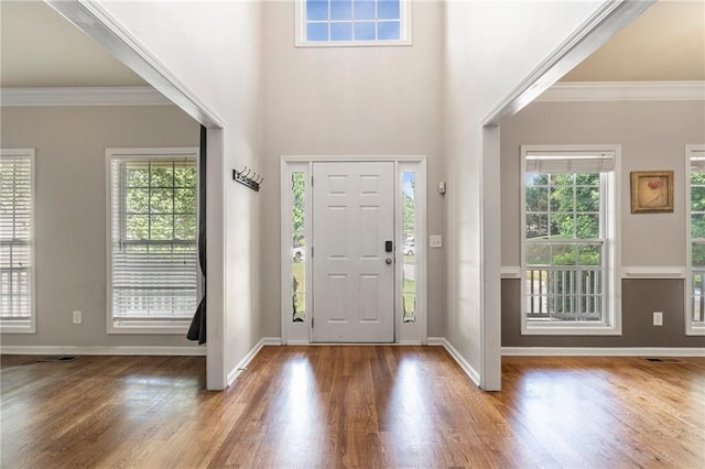 entrance foyer featuring crown molding, hardwood / wood-style floors, and plenty of natural light