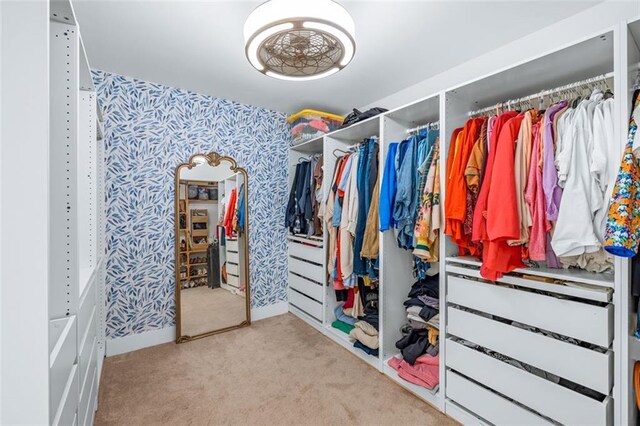 spacious closet featuring carpet