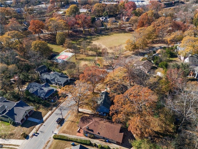 bird's eye view