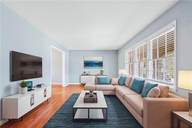 living room featuring baseboards and wood finished floors