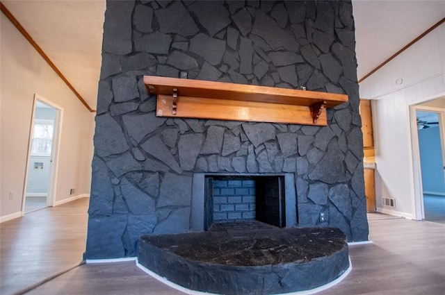 details featuring wood-type flooring and a fireplace