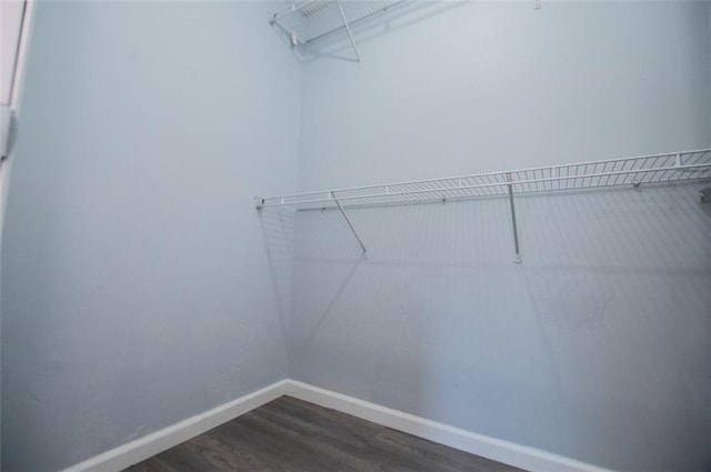 walk in closet featuring dark hardwood / wood-style flooring