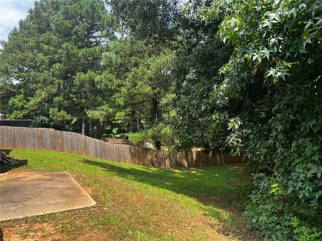 view of yard featuring a patio area