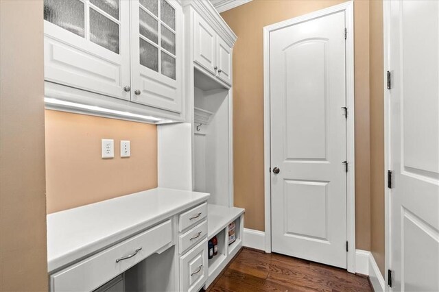 mudroom with dark hardwood / wood-style floors