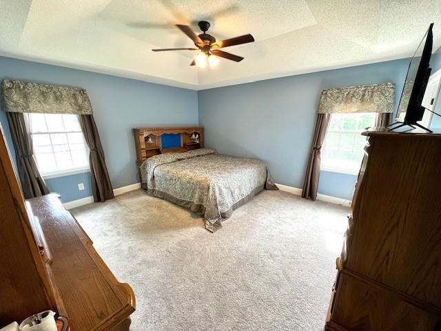 19 Magnolia Ct NE, Rydal, GA 30171 - carpeted bedroom featuring a tray ceiling, baseboards, a textured ceiling, and a ceiling fan