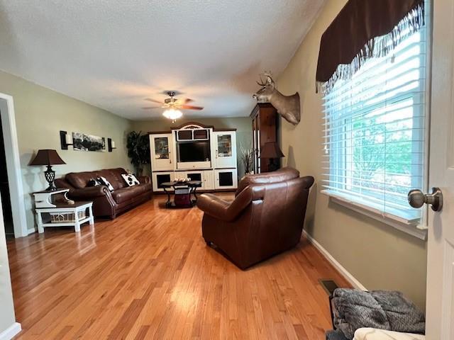 19 Magnolia Ct NE, Rydal, GA 30171 - living room featuring ceiling fan, light wood-type flooring, and baseboards