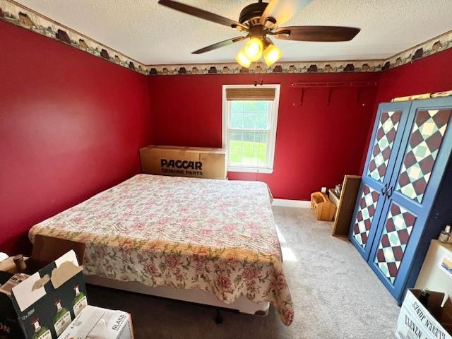 19 Magnolia Ct NE, Rydal, GA 30171 - bedroom featuring a textured ceiling, carpet, and ceiling fan