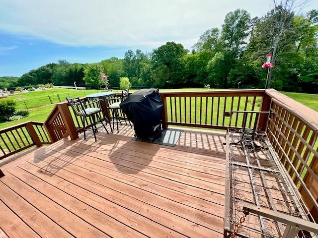 19 Magnolia Ct NE, Rydal, GA 30171 - deck featuring a lawn, grilling area, view of scattered trees, and outdoor dining space