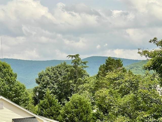 19 Magnolia Ct NE, Rydal, GA 30171 - mountain view