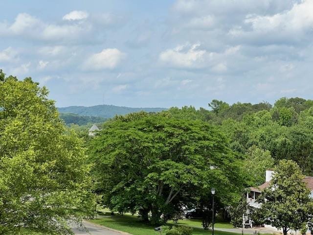 19 Magnolia Ct NE, Rydal, GA 30171 - view of mountain background