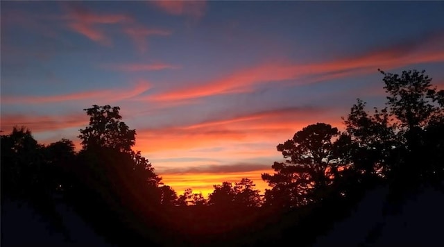 19 Magnolia Ct NE, Rydal, GA 30171 - view of nature at dusk