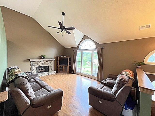 19 Magnolia Ct NE, Rydal, GA 30171 - living area with wood finished floors, vaulted ceiling, a ceiling fan, and a stone fireplace