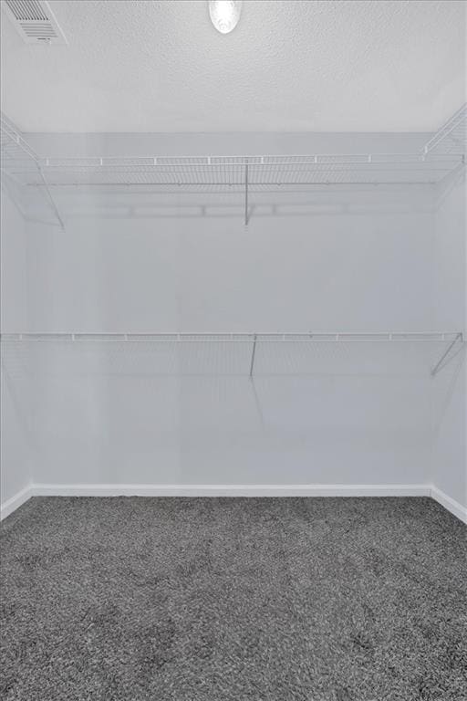 spacious closet featuring carpet