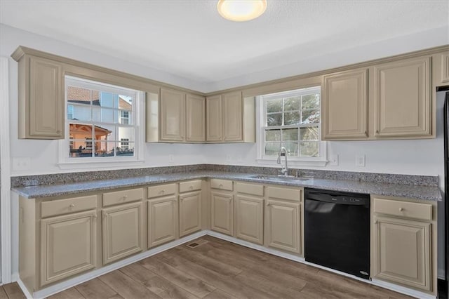 kitchen featuring dishwasher, light wood-type flooring, and sink