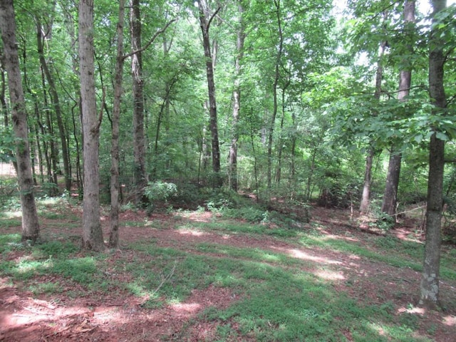 1779 New Bridge Rd, Cleveland, GA 30528 - view of tree filled area