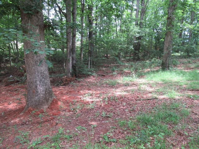 1779 New Bridge Rd, Cleveland, GA 30528 - view of wooded area