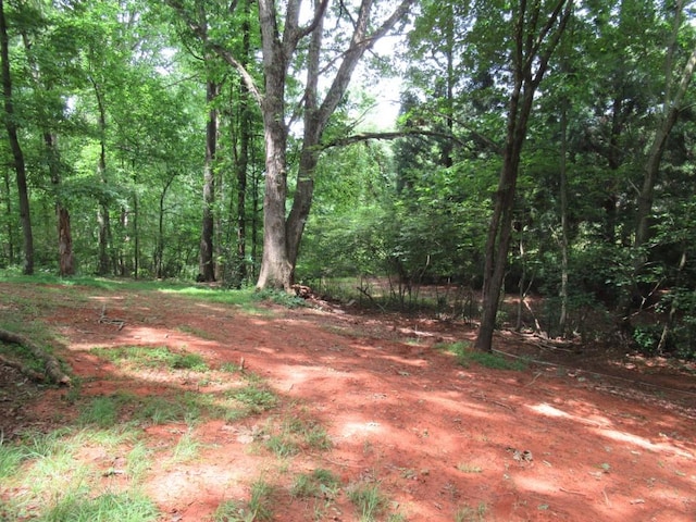 1779 New Bridge Rd, Cleveland, GA 30528 - view of yard with a wooded view