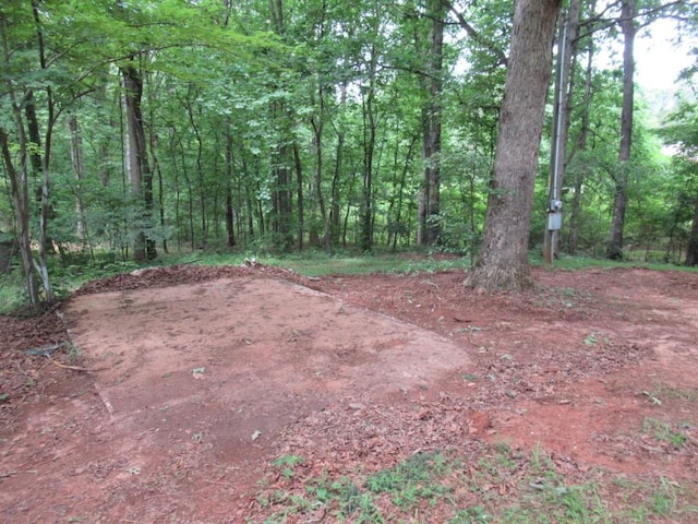 1779 New Bridge Rd, Cleveland, GA 30528 - view of yard featuring a wooded view