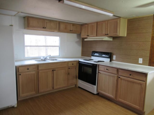 1779 New Bridge Rd, Cleveland, GA 30528 - kitchen featuring electric range oven, under cabinet range hood, a sink, light wood-style floors, and light countertops