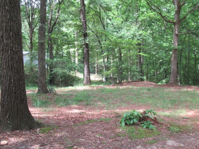 1779 New Bridge Rd, Cleveland, GA 30528 - view of woods