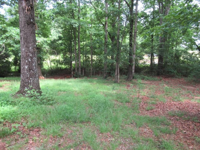 1779 New Bridge Rd, Cleveland, GA 30528 - view of yard