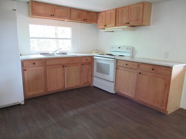 1779 New Bridge Rd, Cleveland, GA 30528 - kitchen featuring white appliances, dark wood-style floors, a sink, and light countertops