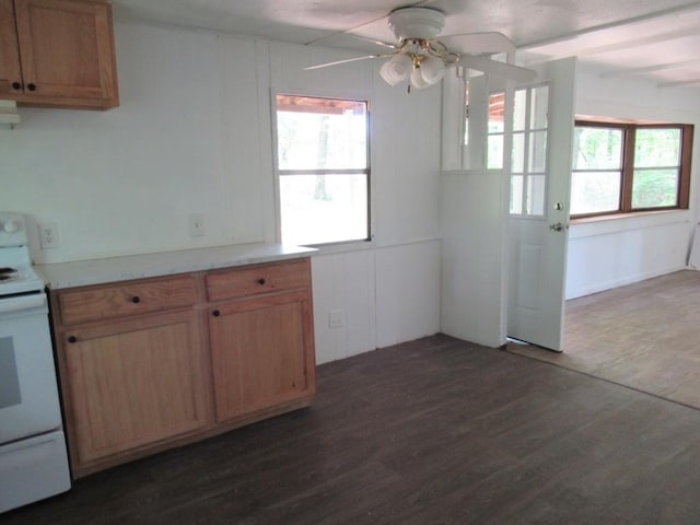 1779 New Bridge Rd, Cleveland, GA 30528 - kitchen featuring electric range, dark wood-type flooring, ceiling fan, and light countertops